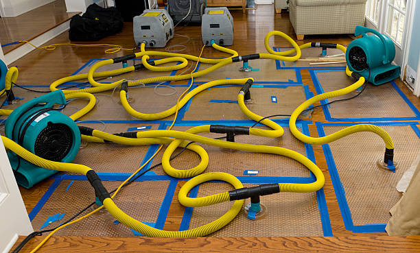 Professional Basement Flood Cleanup technician working in Seville, OH